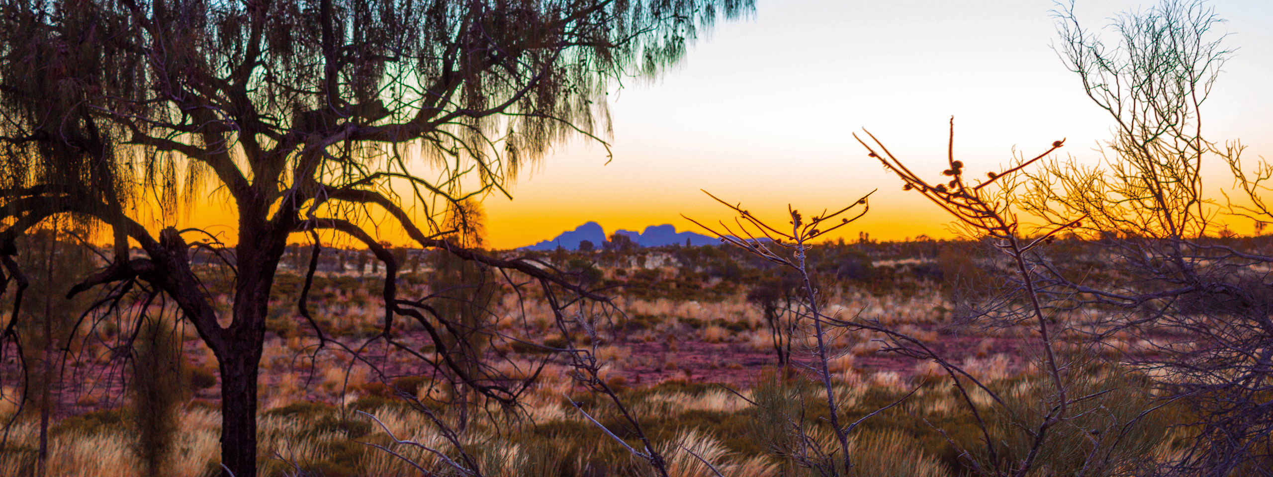Kata Tjuta from a distance