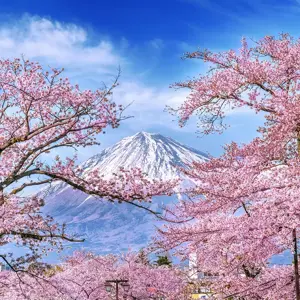 Hero Shizuoka View Of Mt Fuji Japan