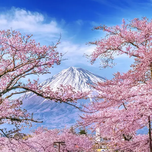11-Day Wonders of Japan - Small Group