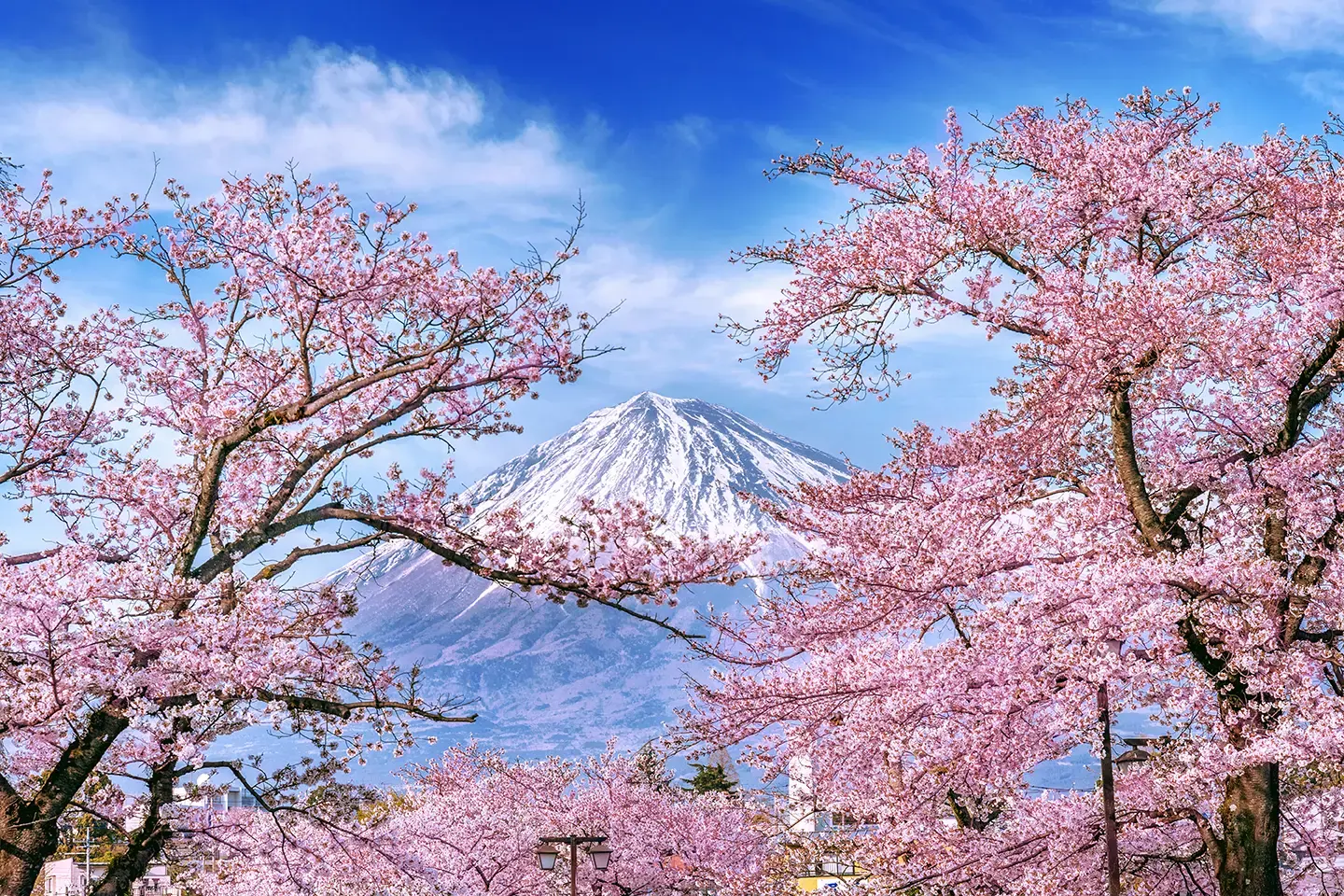 Hero Shizuoka View Of Mt Fuji Japan