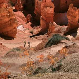 12-Day USA: National Parks Road Trip | End Los Angeles | 2026