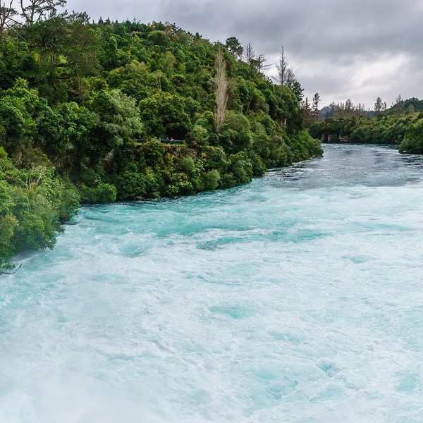 8-Day Northern Wonders Tour from Wellington: Rotorua, Auckland and Bay of Islands | 1 Country and 4 Cities | 7 Breakfasts & 2 Dinners