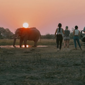 9-Day Victoria Falls and Botswana | 2026