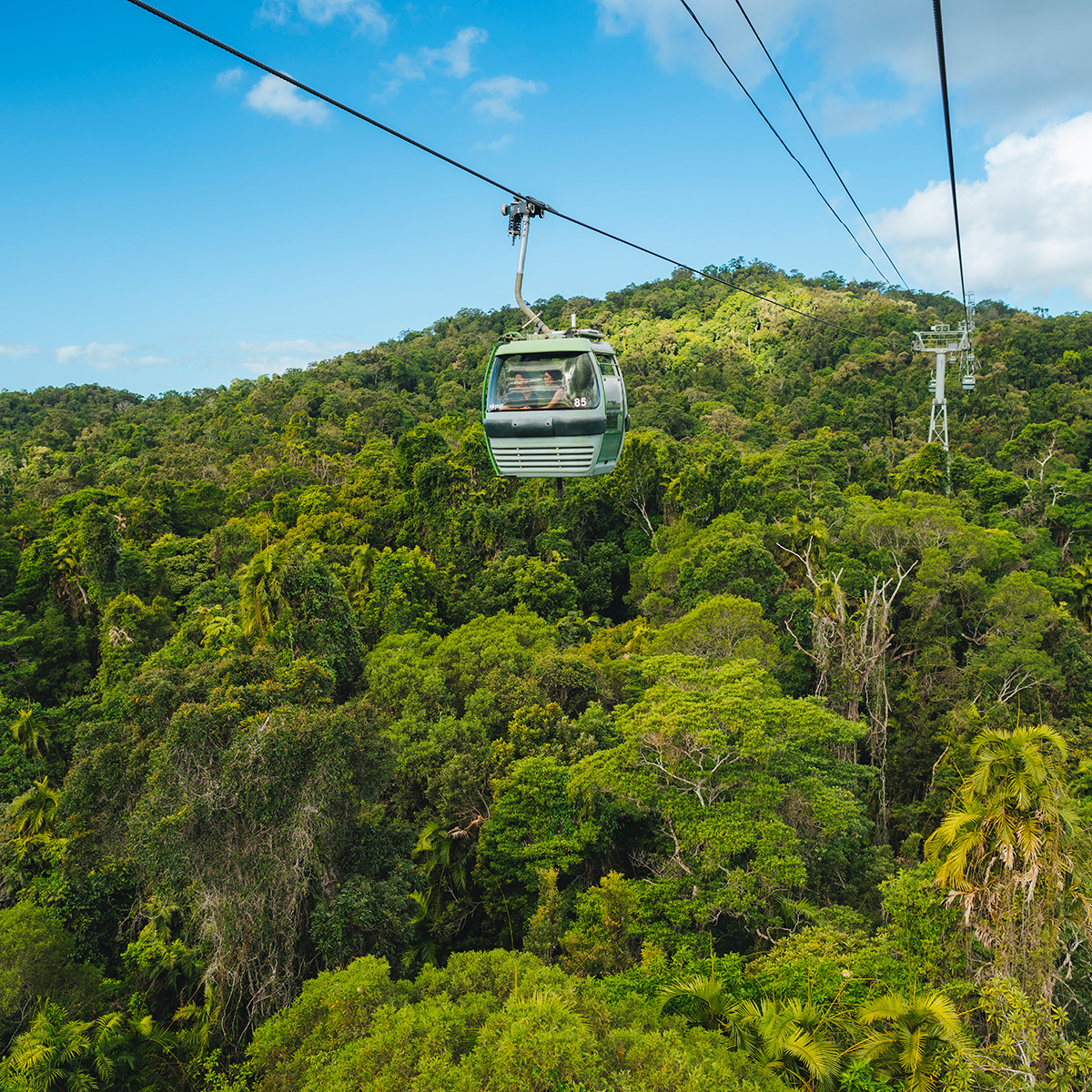 Cairns to Sydney Highlights