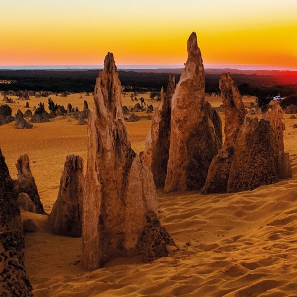 6-Day Monkey Mia Dolphins and West Coast Tour from Fremantle: Geraldton, Kalbarri and Perth | 1 Country and 5 Cities | 5 Breakfasts & 3 Dinners