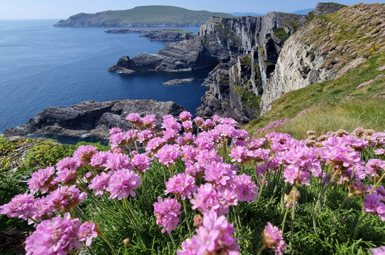 Ireland’s Icons