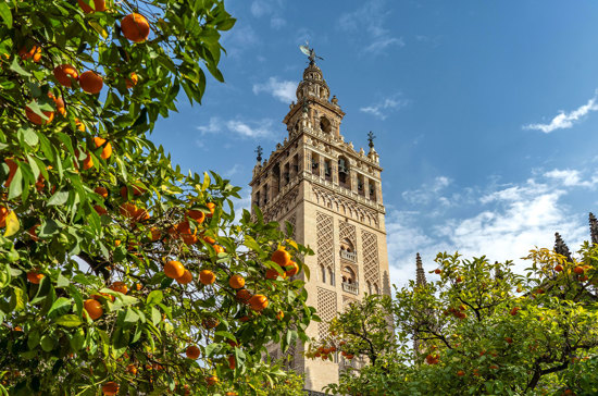Highlights of Spain in Summer