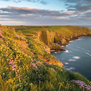Undiscovered Ireland Guided Tour