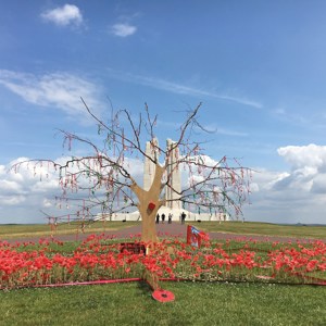 World War 1 Battlefields Guided Tour