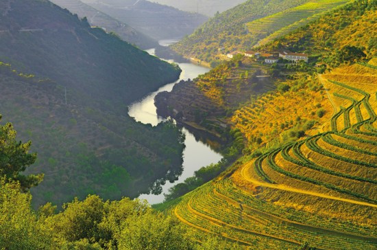 Country Roads of Portugal