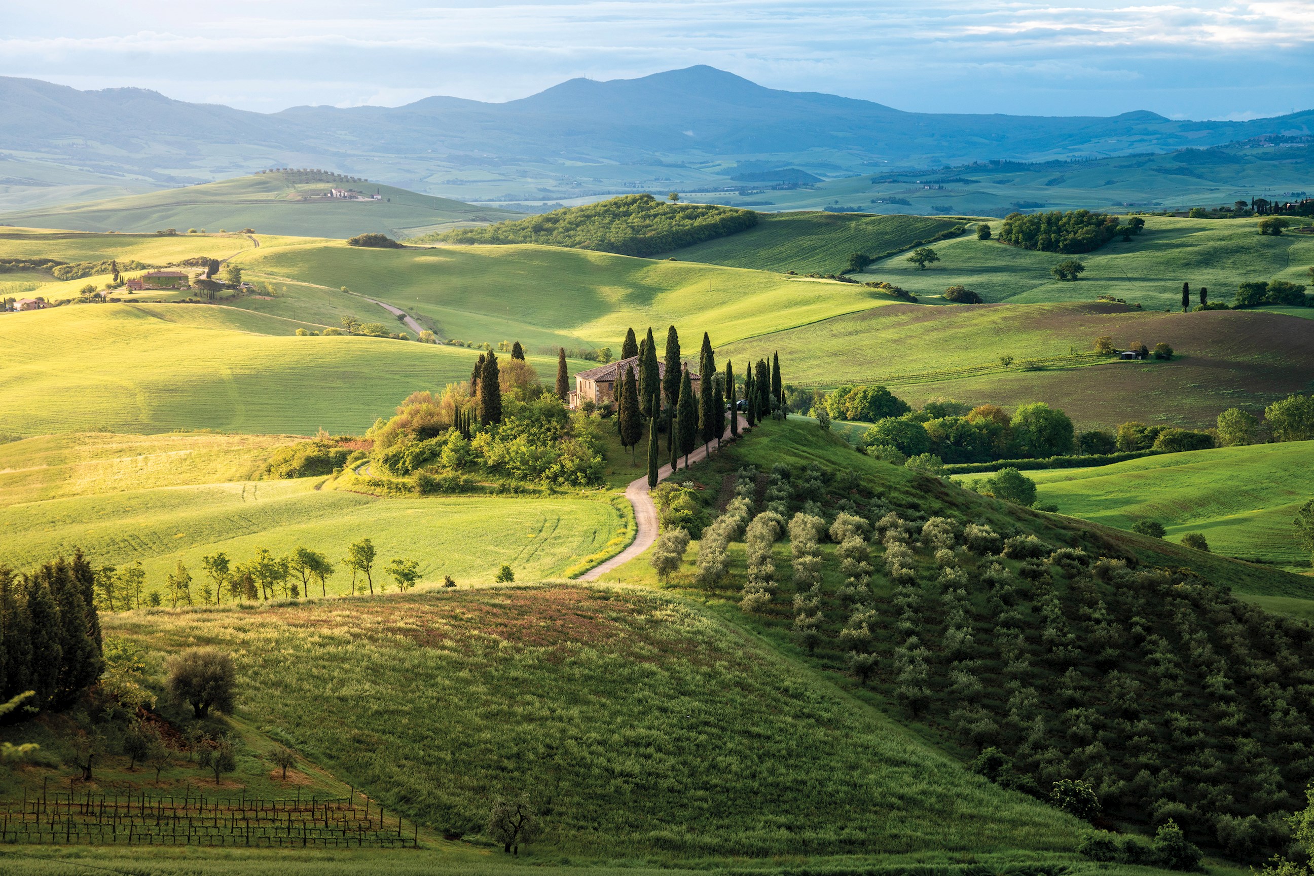 tourhub | Insight Vacations | Country Roads of Italy - Small Group 