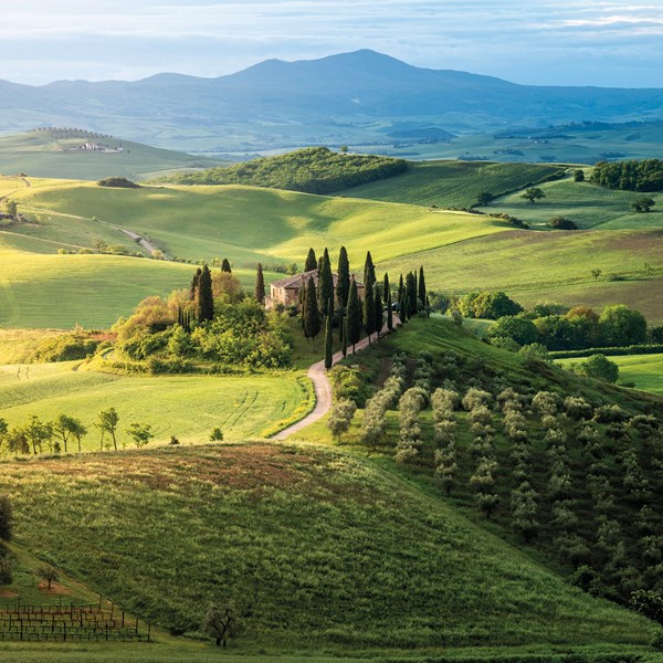 tourhub | Insight Vacations | Country Roads of Italy - Small Group | SE722ZN19