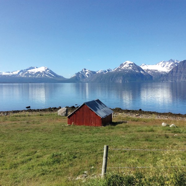 12-Day Country Roads of Scandinavia: Oslo, Ulvik, Flam, Bergen, Stavanger, Aalborg, Copenhagen | 11 Breakfasts, 6 Dinners