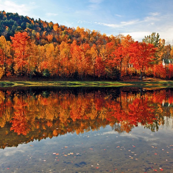 New England's Fall Foliage - Small Group