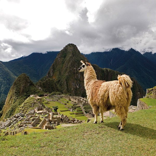 10-Day Peru Tour from Lima to Cusco: Machu Picchu and Sacred Valley | 1 Country and 4 Cities | 9 Breakfasts, 4 Lunches, 5 Dinners