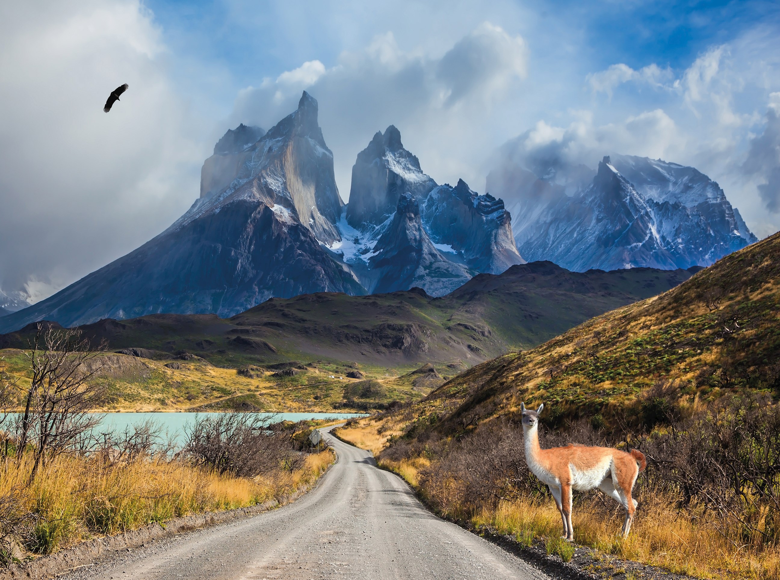 tourhub | Insight Vacations | Best of Chile from Atacama to Patagonia - Classic Group 