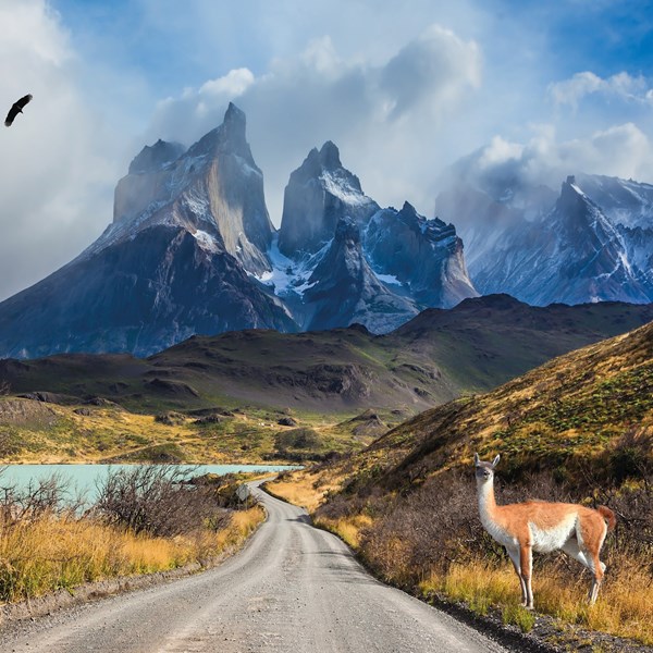 Best of Chile from Atacama to Patagonia Guided Tour