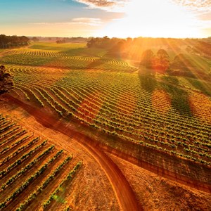 Perth Margaret River Explorer Guided Tour