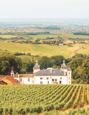 A view of vineyards and chateau in the Beaujoulais Wine Region of France
