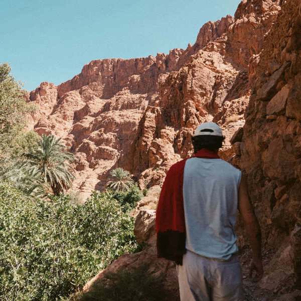 A traveller walks through a lush palm-filled canyon surrounded by towering red rock cliffs in Morocco.