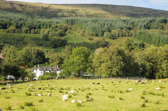 Best of Ireland and Scotland – Signature