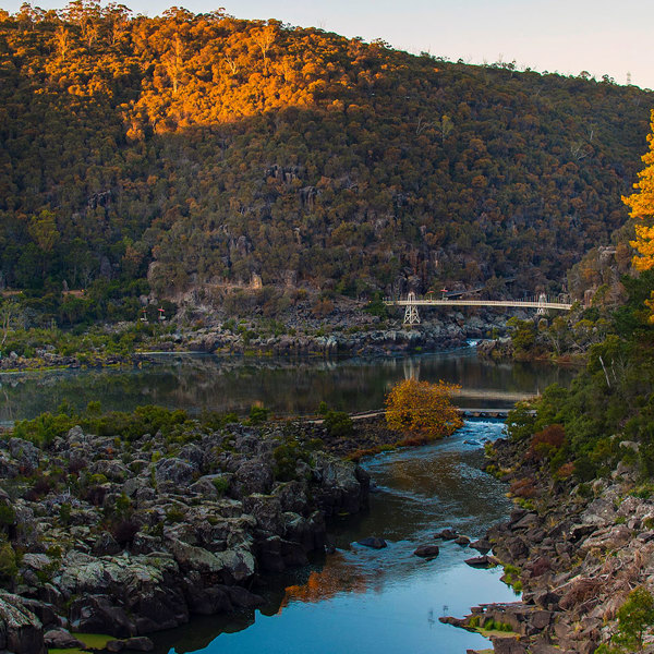 5-Day Tassie's East Coast Highlights Tour from Launceston: Bicheno and Hobart | Port Arthur Historic Site | 1 Country and 3 Cities | 4 Breakfasts & 2 Dinners