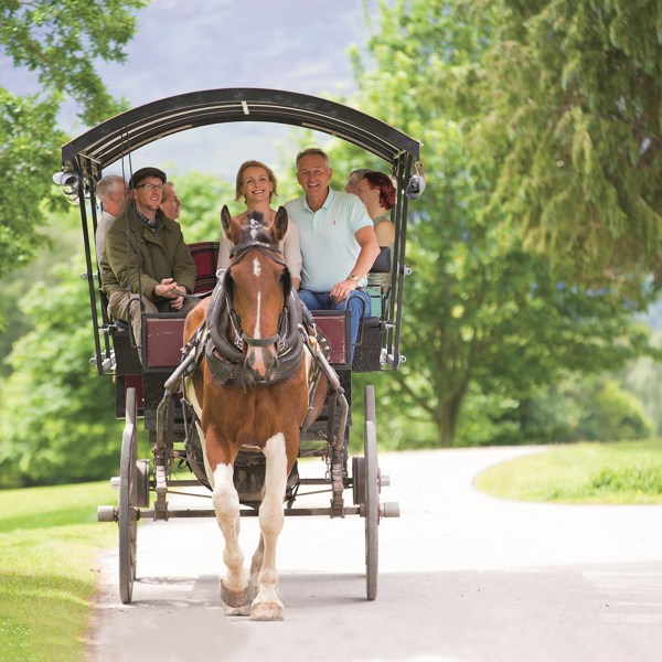 7-Day Ireland Tour: Dublin, Kilkenny, Cobh, Moher, Adare, Galway | 6 Breakfasts, 4 Dinners