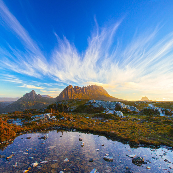 Tasmania's Wild Wonders