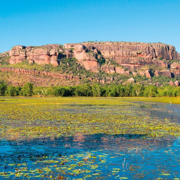 6-Day Top End Highlights Tour from Darwin: Katherine and Kakadu | Nitmiluk Gorge | Kakadu National Park | 1 Country and 3 Cities | 5 Breakfasts & 2 Dinners