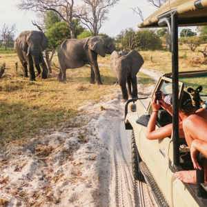 9-Day Victoria Falls and Botswana 35 to 45 | 2027