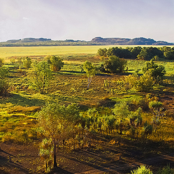 tourhub | AAT Kings | Kakadu & Nitmiluk (Katherine) Gorge 