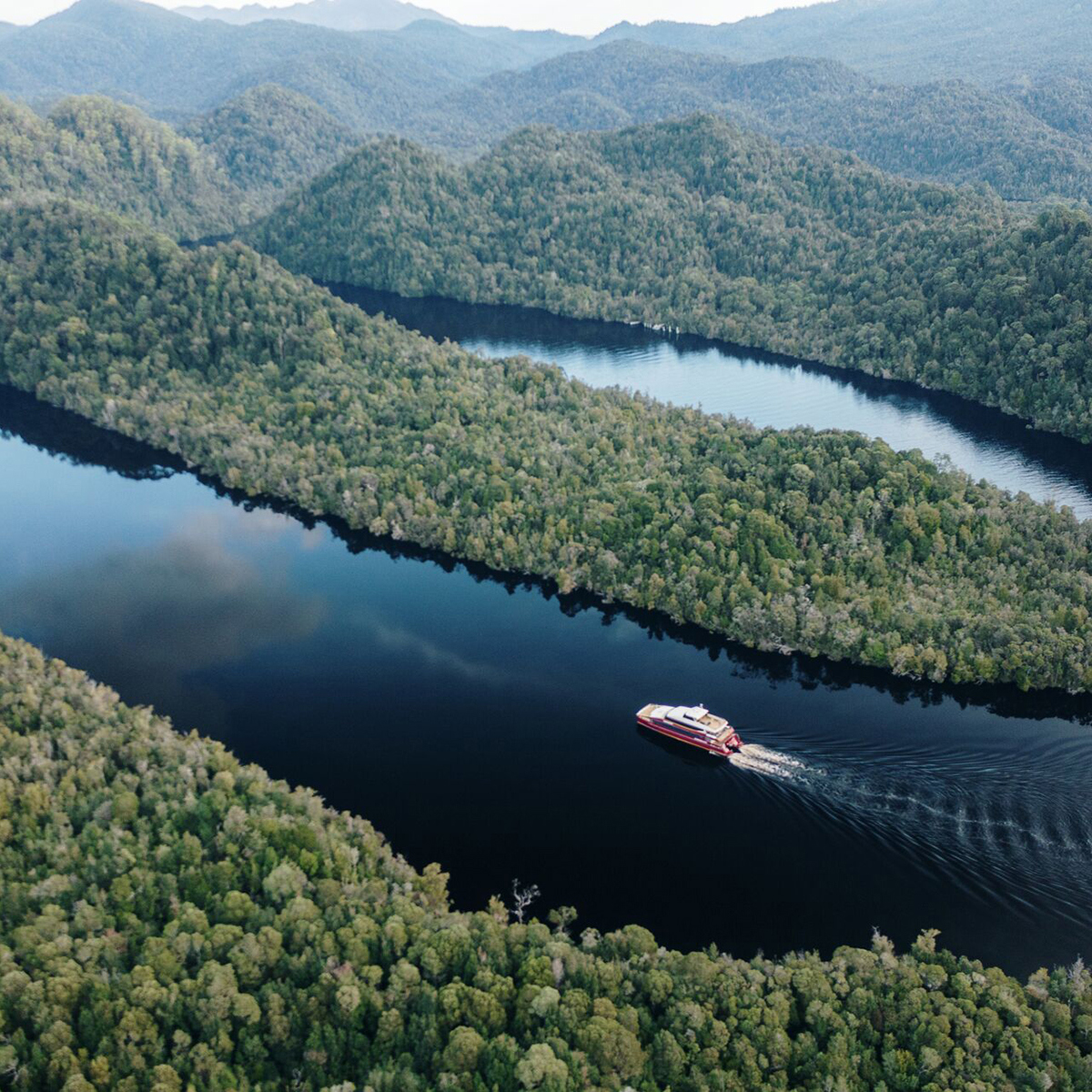 Gordon River Cruise