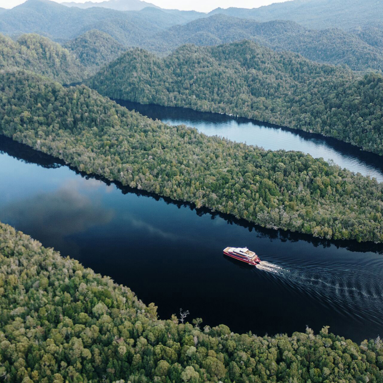 Tassie's Wilderness Icons