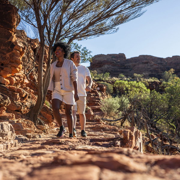 Northern Territory Dreaming