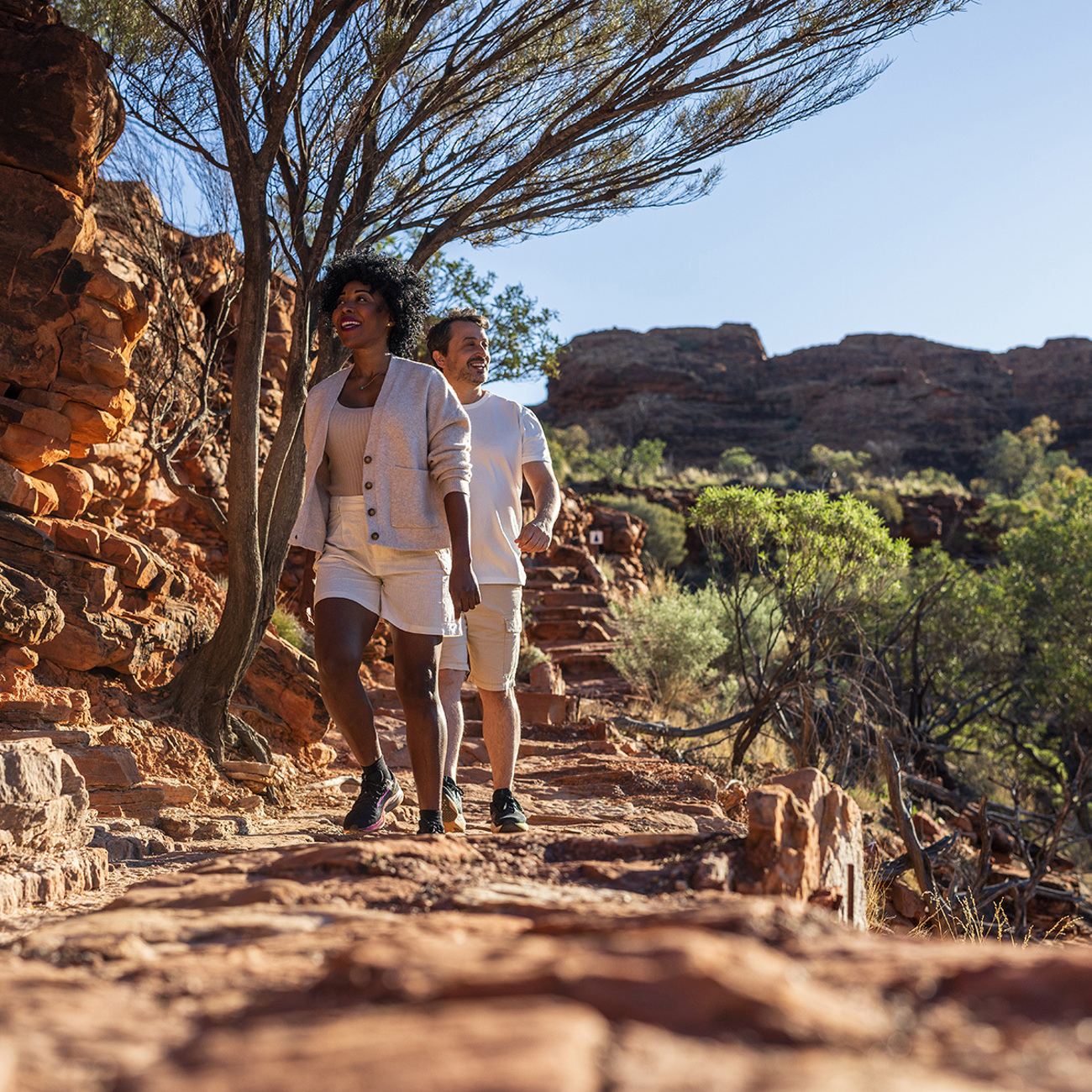 Northern Territory Dreaming