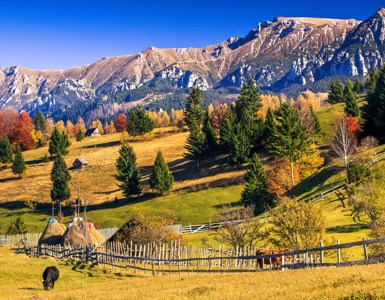 Castles, Bikes and Hikes in Romania