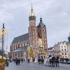Christmas Markets of Poland, Guided Tour