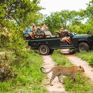 Kruger Safari with Eswatini and Zulu Trip