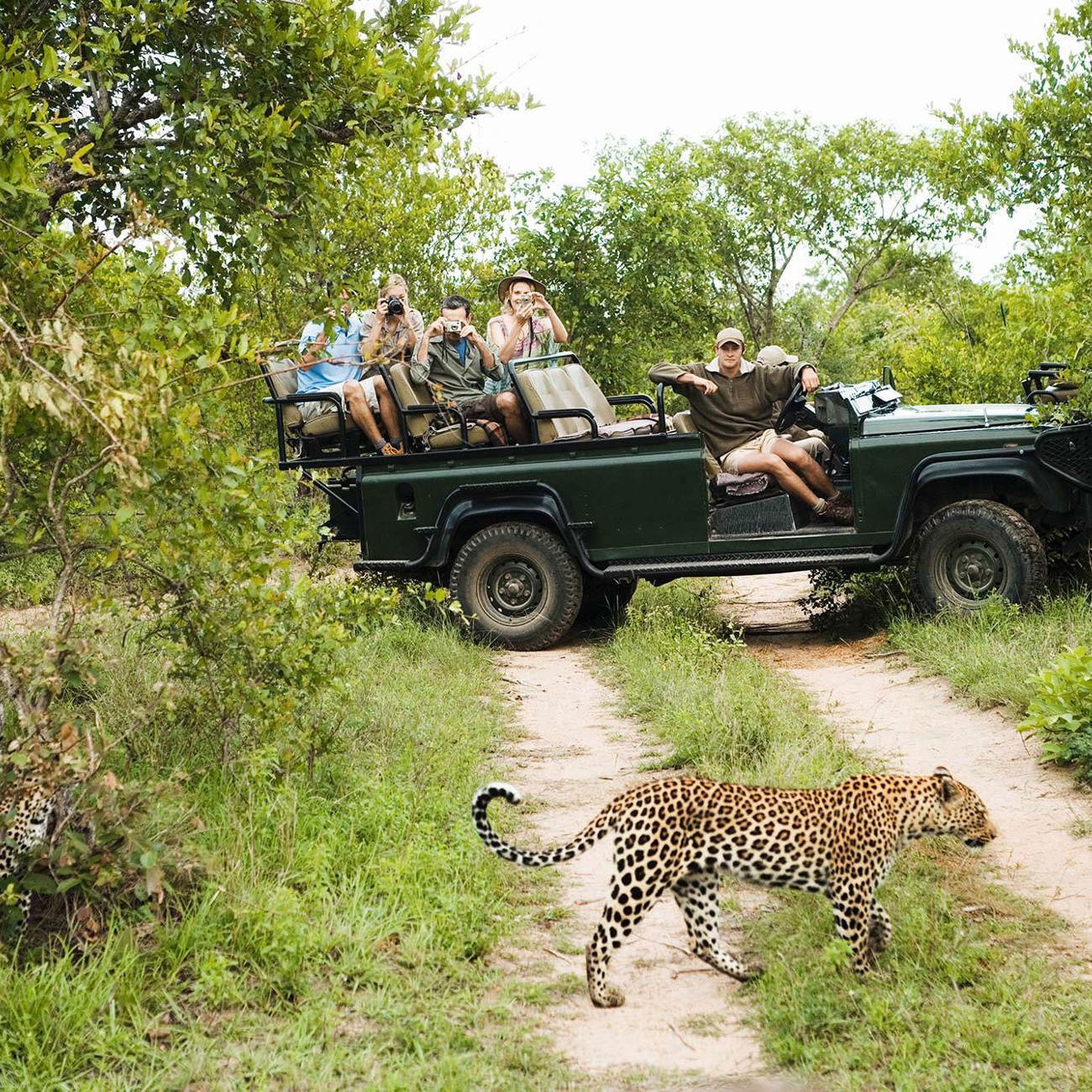 Kruger Safari with Eswatini