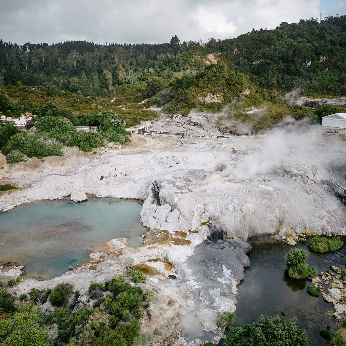 New Zealand Marvel