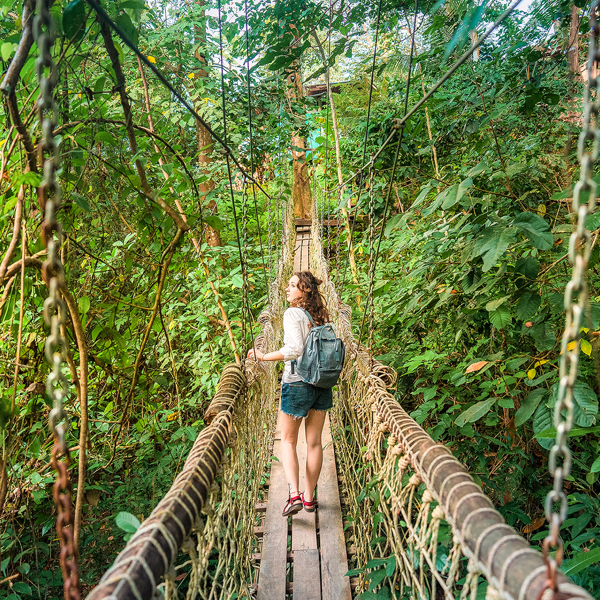 7-Day Equatorial Ecuador from City to Beach to Jungle | 6 Breakfasts and 4 Dinners | Small Group Tour with Maximum 25 pax | Adults Friendly