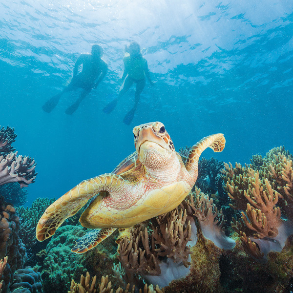 Tropical Queensland: Brisbane to Cairns