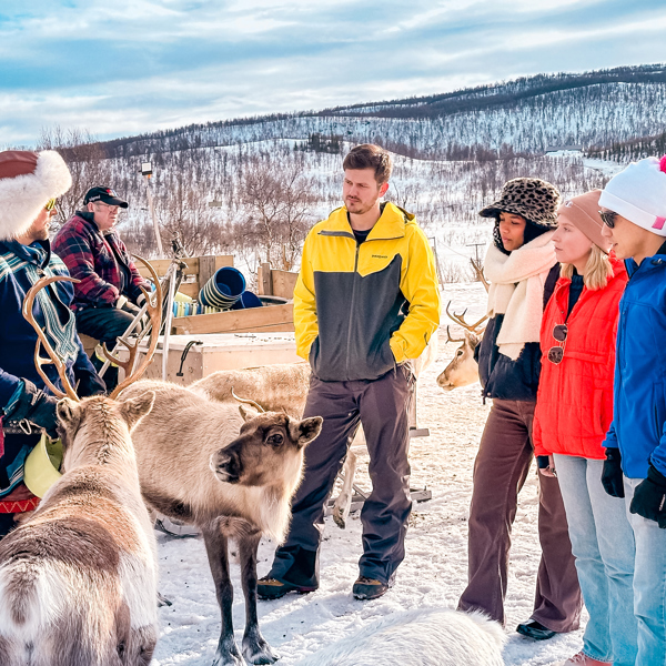 tourhub | Contiki | Norway Fjords & Northern Lights | From November 2025 