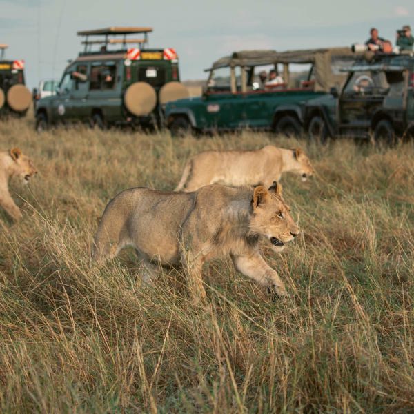 6-Day Best of Kenya 35 to 45 | Camping