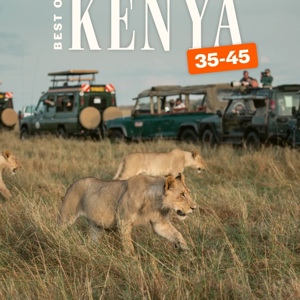 Best of Kenya 35 to 45 Tour