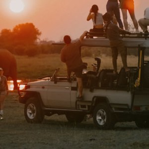 Travellers watching an elephant at sunset during a safari on Contiki's Best of Botswana & Namibia Tour