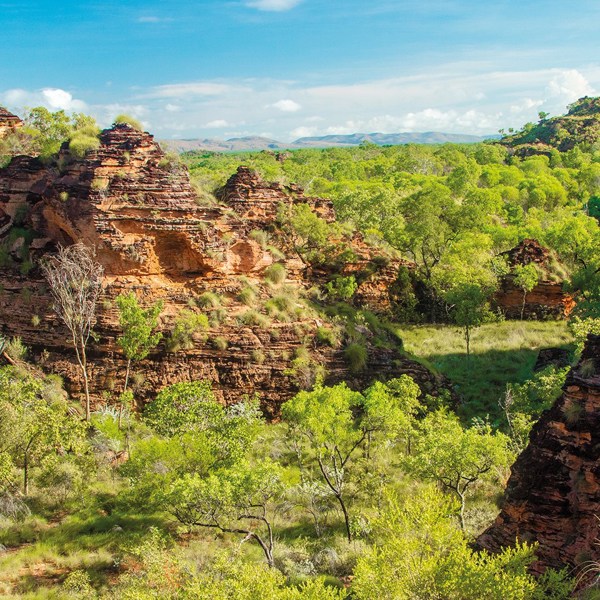 Untamed Kimberley
