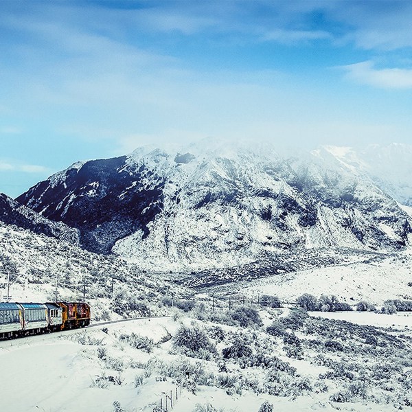 14-Day New Zealand Marvel Tour from Christchurch: Queenstown, Te Anau, Dunedin, Omarama, Wellington, Rotorua and Auckland | 1 Country and 10 Cities | 13 Breakfasts & 8 Dinners