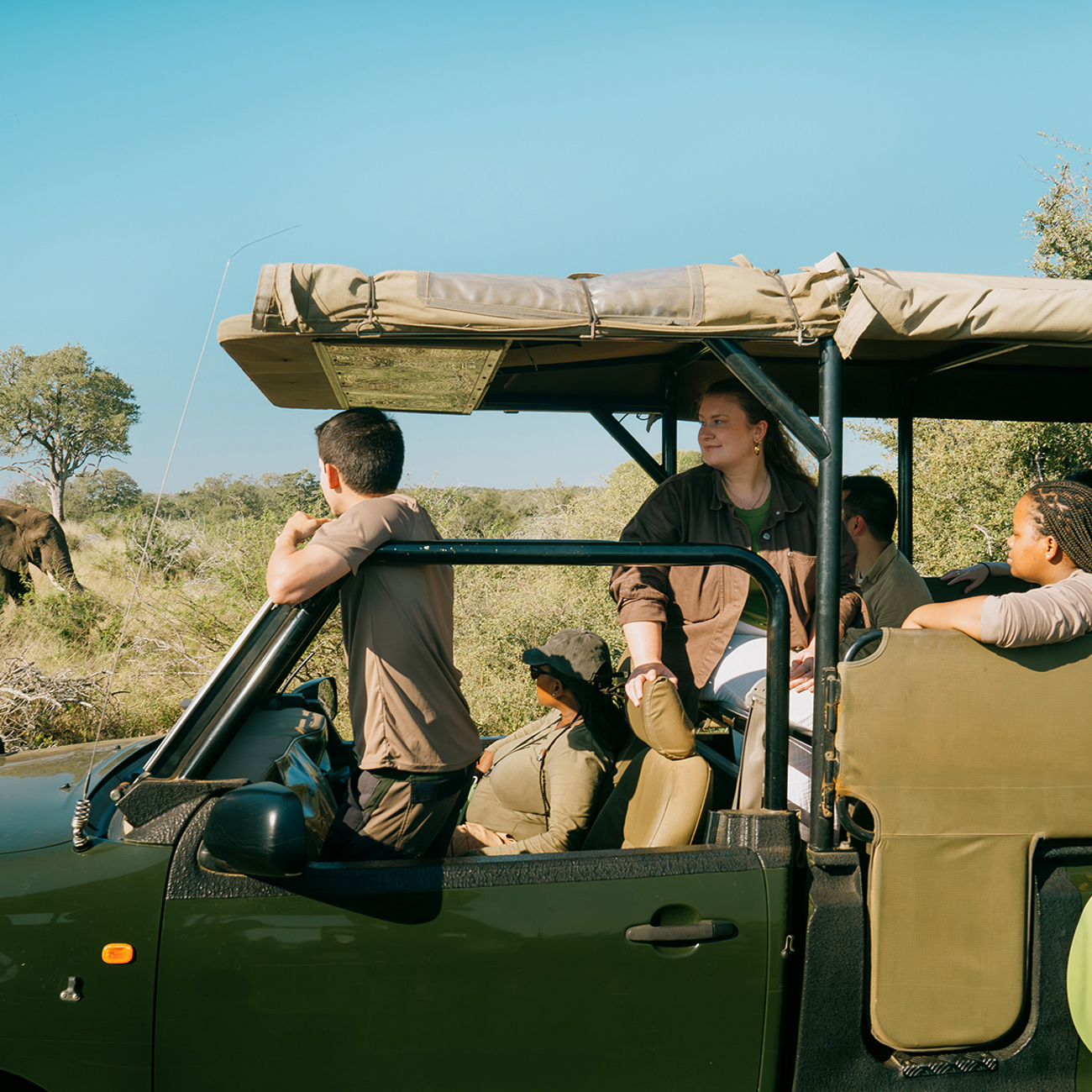 Sea, Safari, South Africa