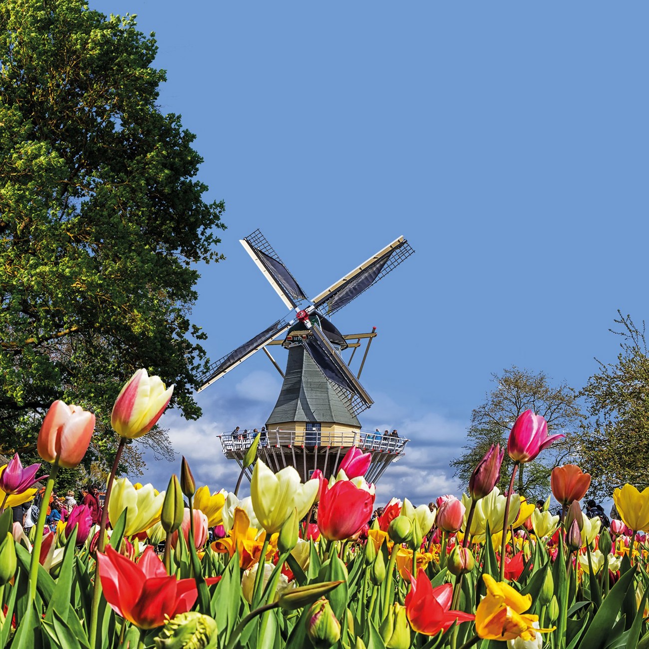 Country Roads of Belgium, Luxembourg & the Netherlands